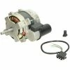 BUDERUS Motor 110 W BDE/DE/BRE/RE 2 BUDERUS Motor 110 W BDE/DE/BRE/RE -BUDERUS GESCHÄFT 70983184 1